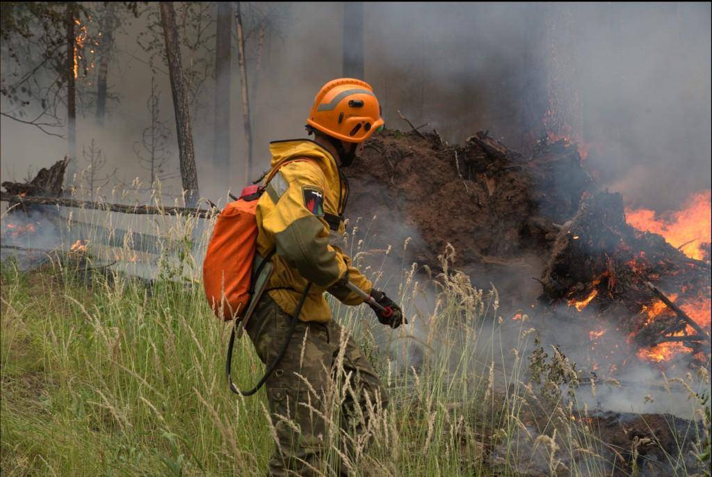 За минувшие сутки в Красноярском крае ликвидировано 2 лесных пожара