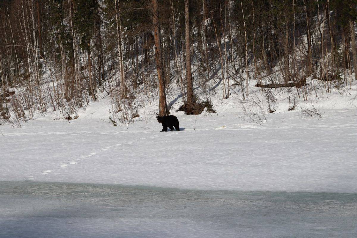 dDyjZSX1lZk.jpg dDyjZSX1lZk.jpg