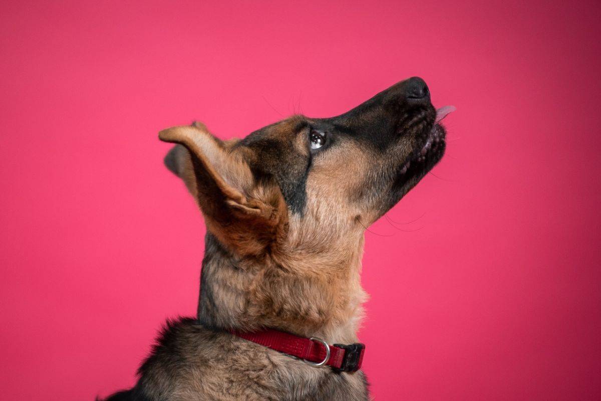 w8MNG-KhVLk.jpg w8MNG-KhVLk.jpg