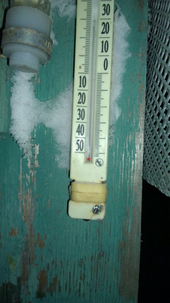 кемчуг.jpg кемчуг.jpg