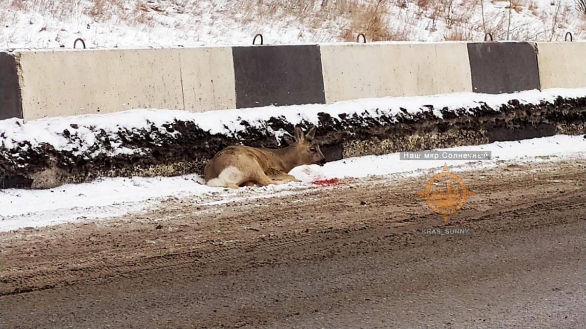 VULhVMoyzIU (1).jpg VULhVMoyzIU (1).jpg