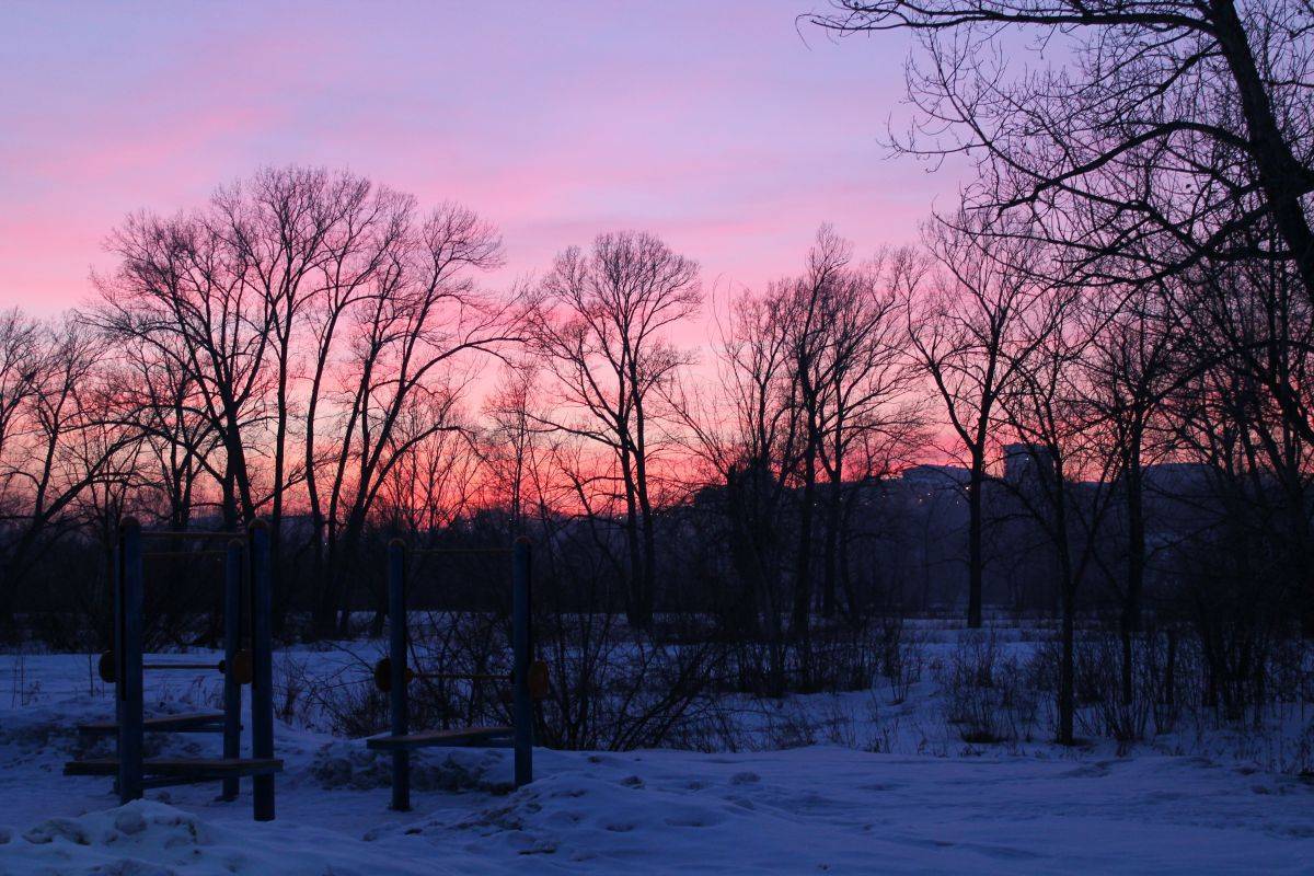 IMG_3982.jpg IMG_3982.jpg