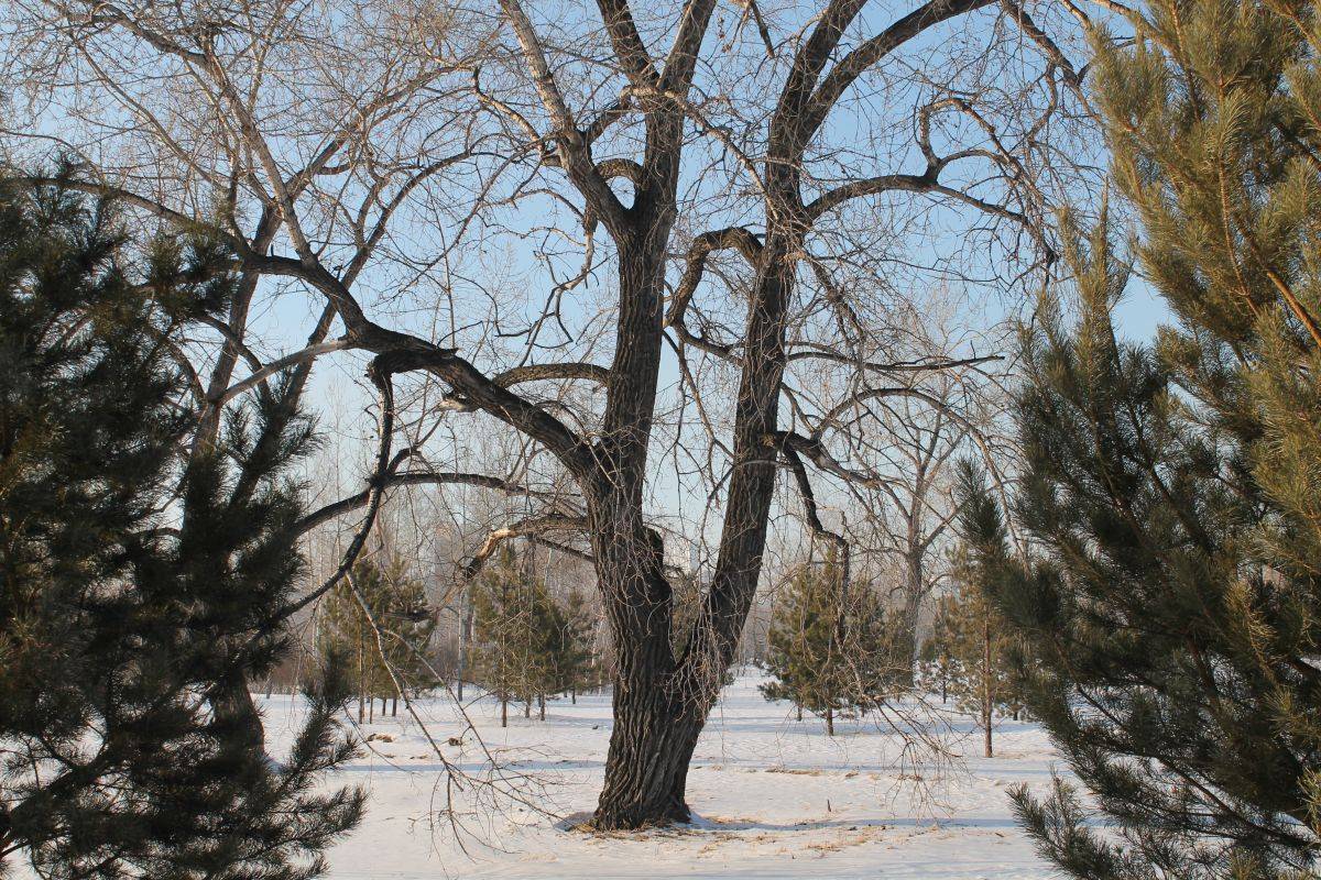 IMG_3927.jpg IMG_3927.jpg