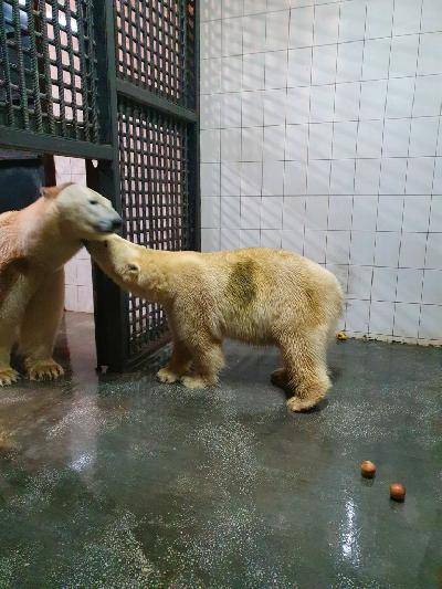 AGPCDCtdxAw.jpg AGPCDCtdxAw.jpg