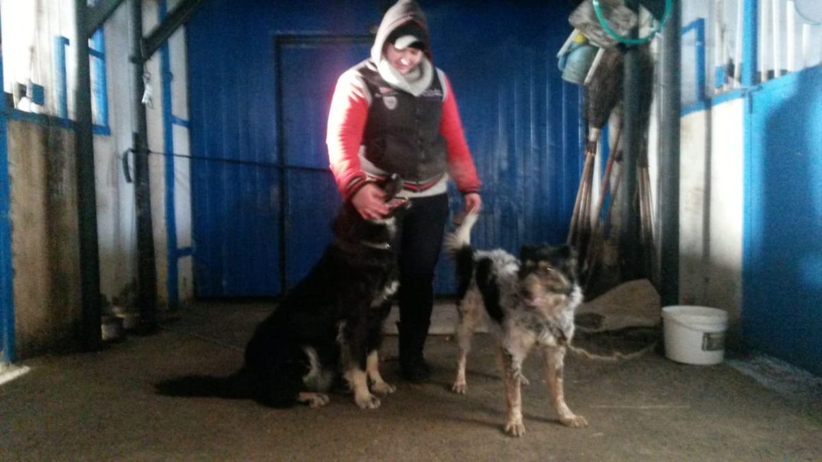 EkY6ji9QirA.jpg EkY6ji9QirA.jpg