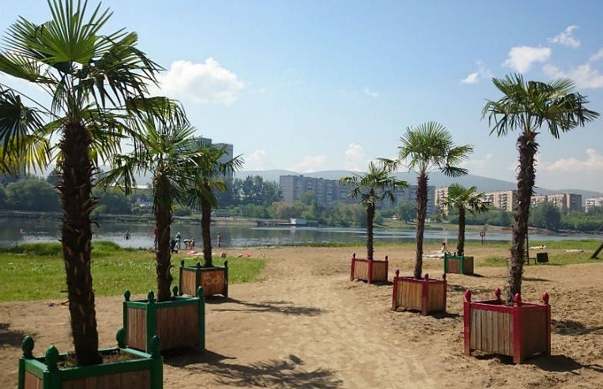 pBNg0WMP_0Y-4419010.jpg pBNg0WMP_0Y-4419010.jpg