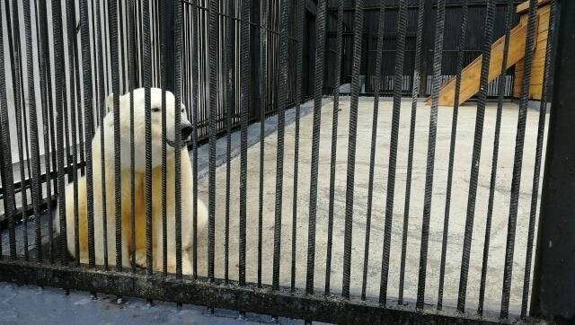 71716187_3045174835553337_1449632469778169856_n.jpg 71716187_3045174835553337_1449632469778169856_n.jpg