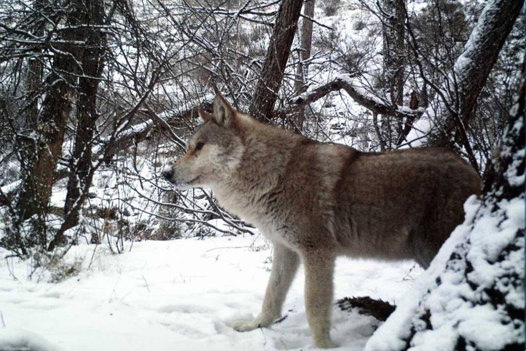 d6uo0xfR0vc.jpg d6uo0xfR0vc.jpg