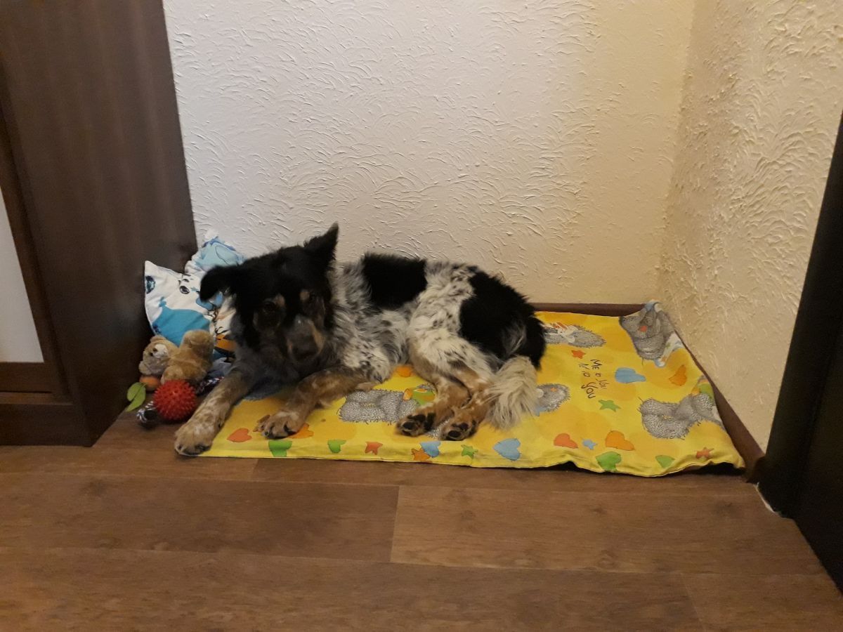 EhCSymDQ7NE.jpg EhCSymDQ7NE.jpg