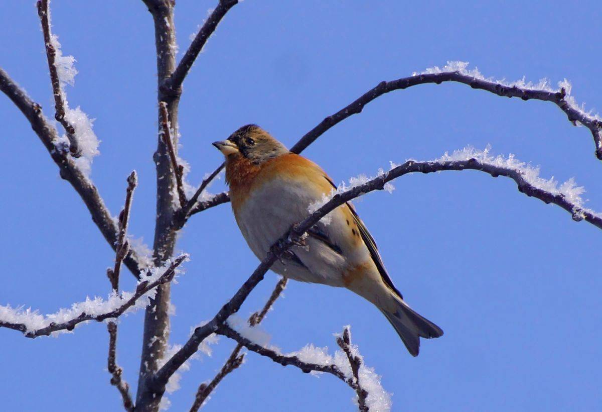 86498995_1019906205100171_7790380426454892544_o.jpg 86498995_1019906205100171_7790380426454892544_o.jpg