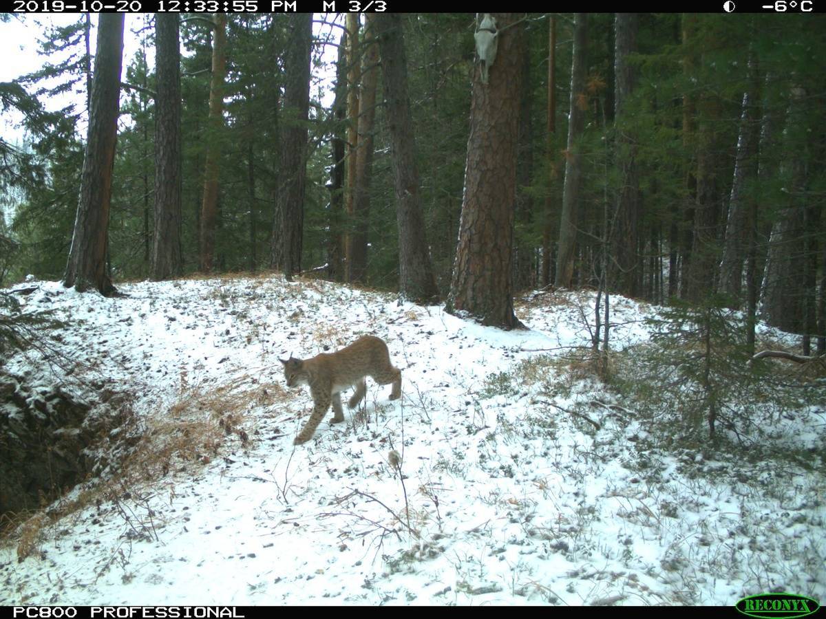 NVs9MPRCe_o.jpg NVs9MPRCe_o.jpg