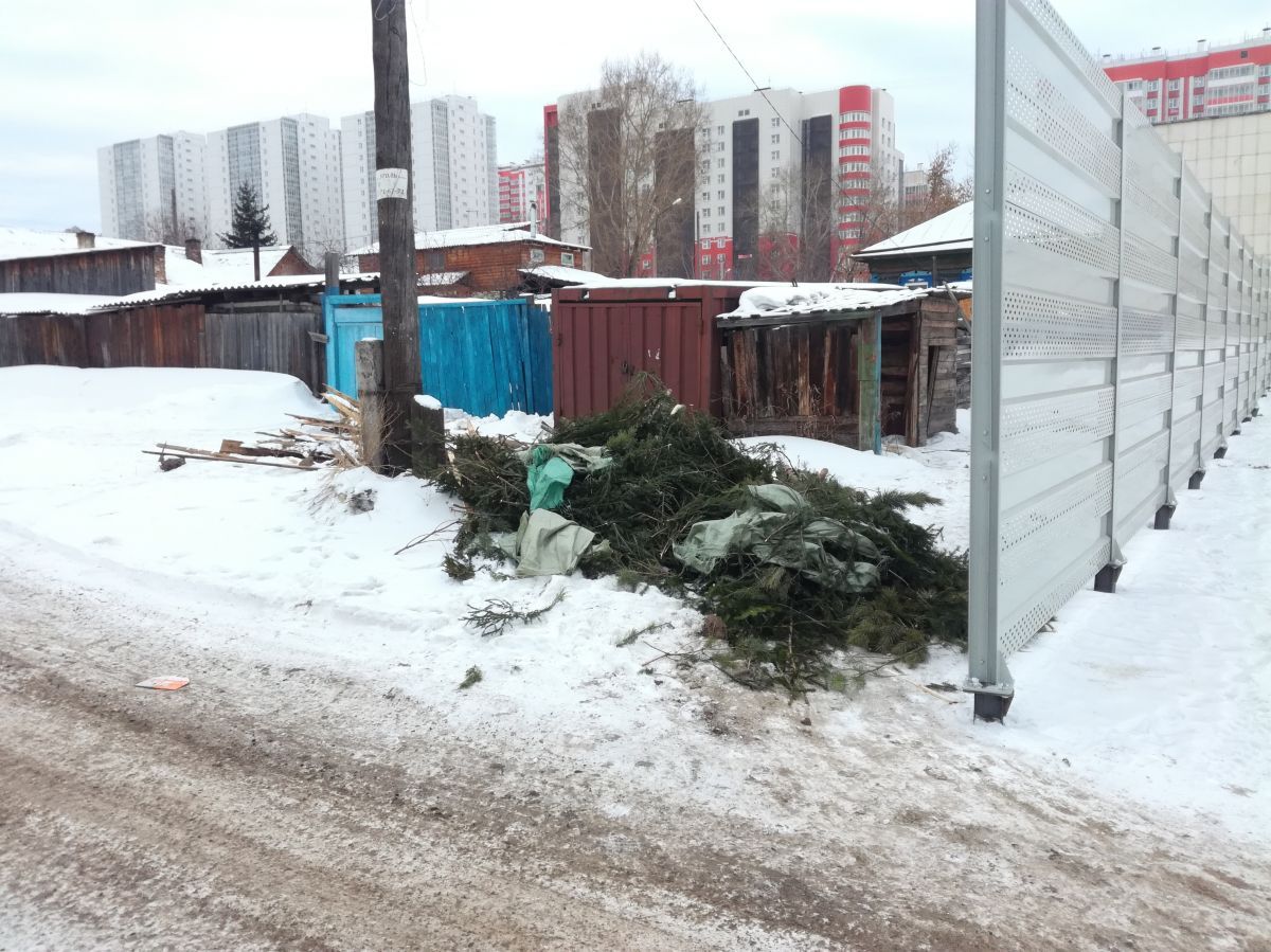 хор242.jpg хор242.jpg