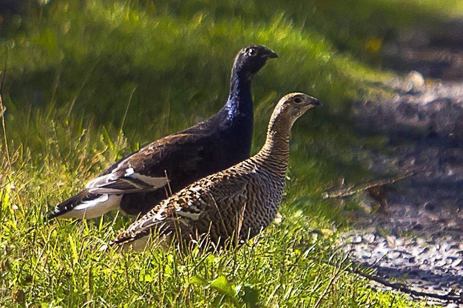 KFzj9VYnKvU.jpg KFzj9VYnKvU.jpg