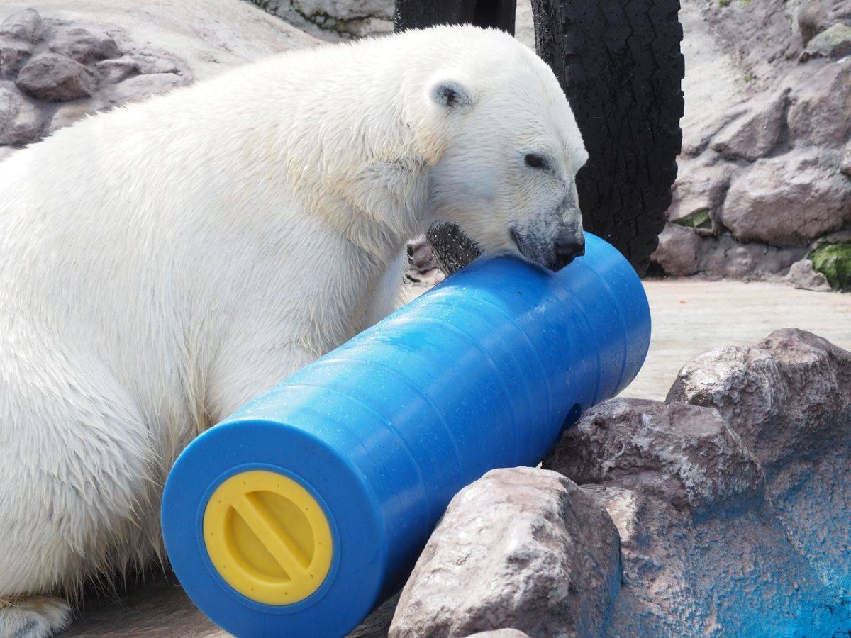 MmcSFexprYY.jpg MmcSFexprYY.jpg