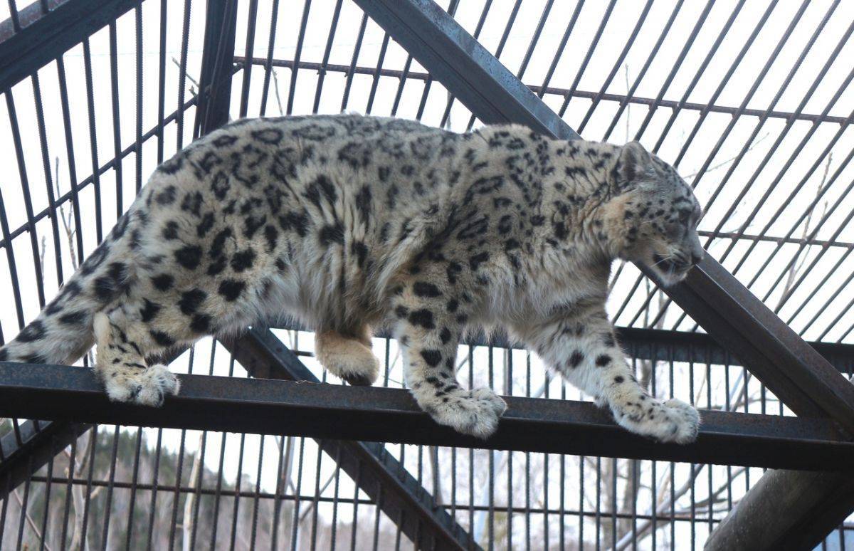 B6L2IgctOQc.jpg B6L2IgctOQc.jpg