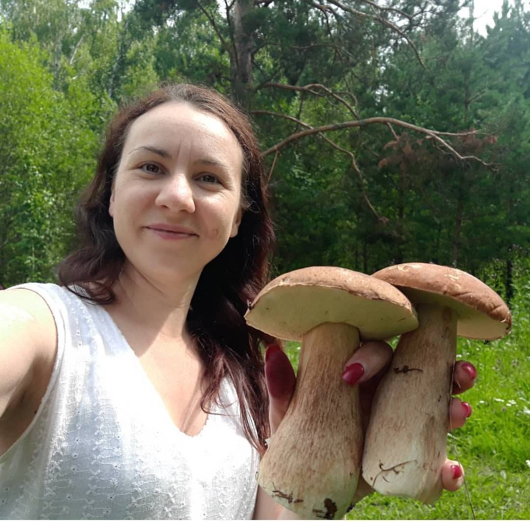 гриб.jpg гриб.jpg