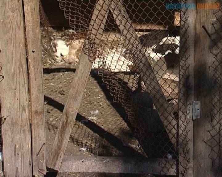 1559822672_10_2096_0000-00-00_000000.avi_snapshot_00.01_2019.06.06_18.38.14.jpg 1559822672_10_2096_0000-00-00_000000.avi_snapshot_00.01_2019.06.06_18.38.14.jpg