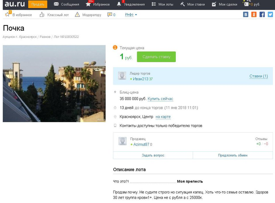 почка.png почка.png