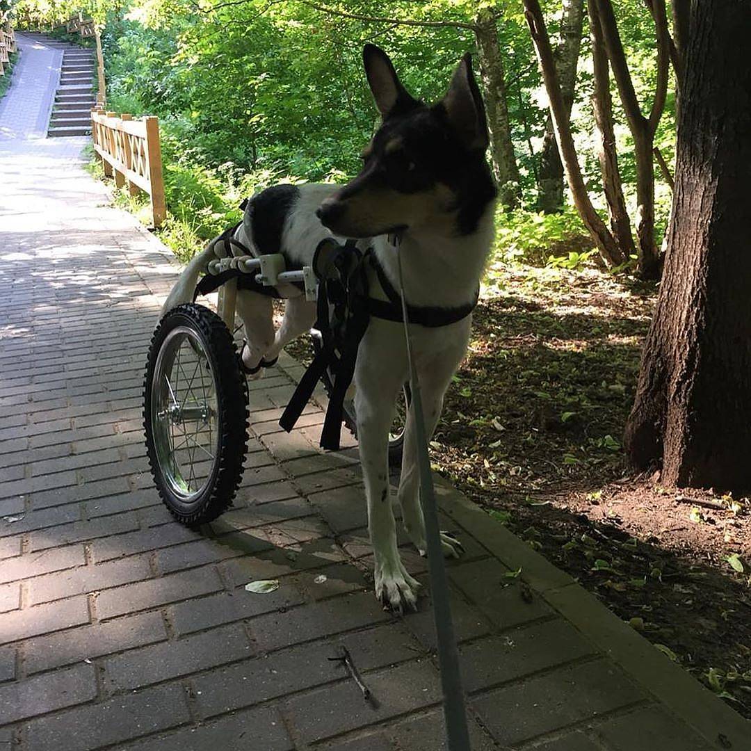 wx1080.jpg wx1080.jpg