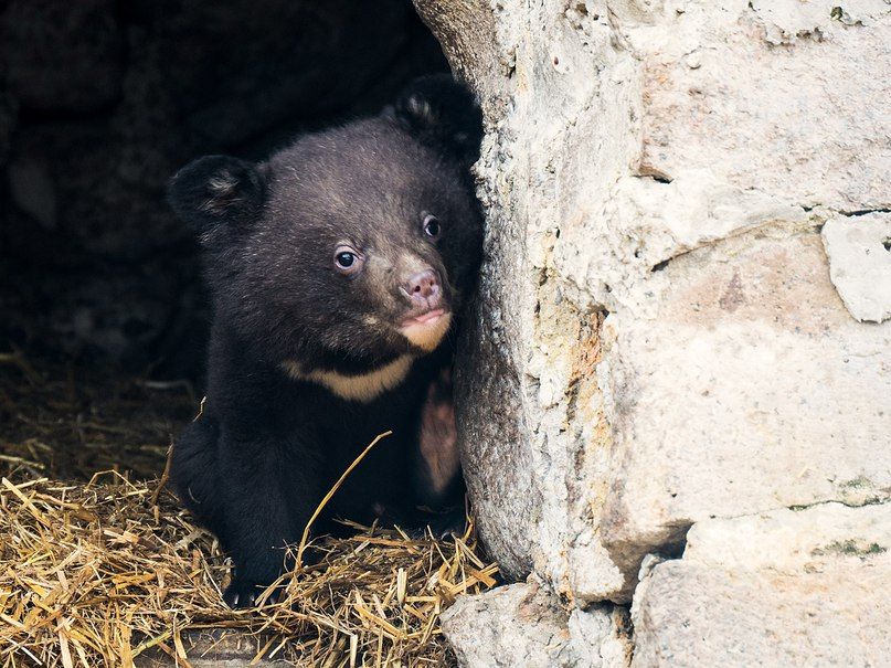 YqIpsjnas0Q.jpg YqIpsjnas0Q.jpg