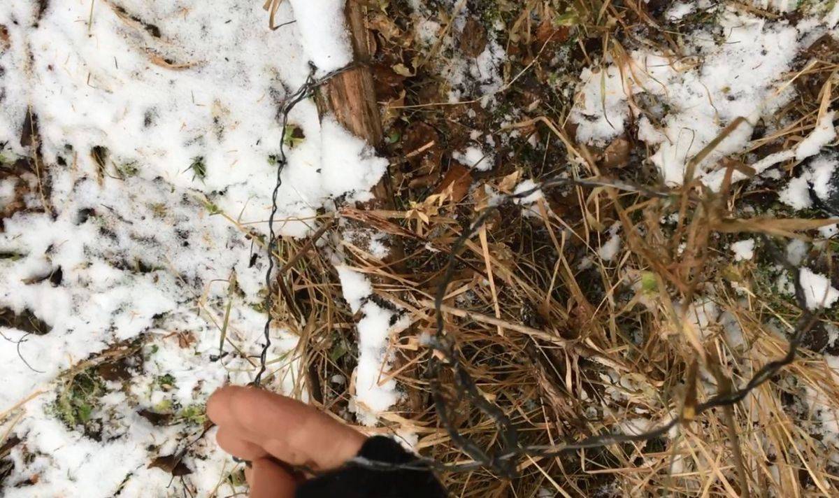 vM2Hjth-Lxk.jpg vM2Hjth-Lxk.jpg