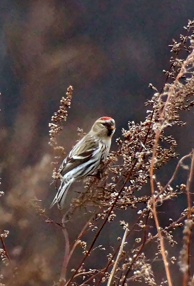 73342849_789454451478682_1758960571396390912_n.jpg 73342849_789454451478682_1758960571396390912_n.jpg