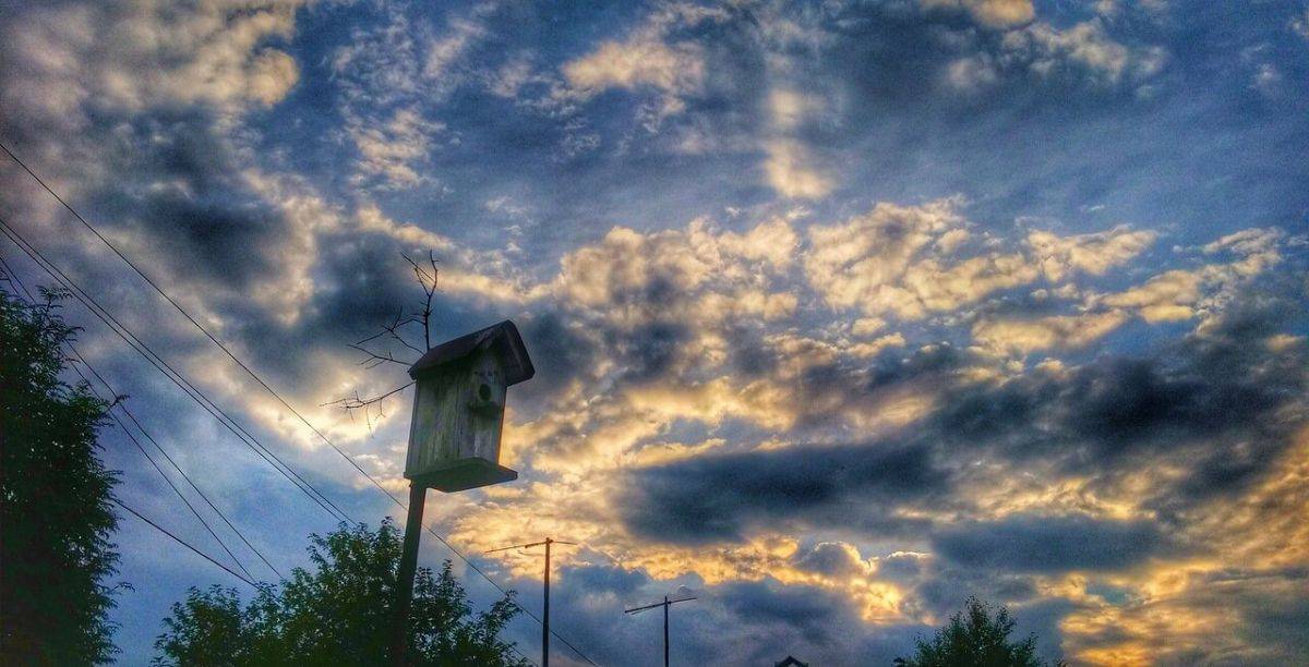 Артем Николаевич (2).jpeg Артем Николаевич (2).jpeg