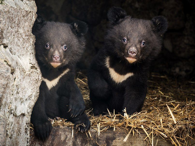 WQTQ0pFThpQ.jpg WQTQ0pFThpQ.jpg