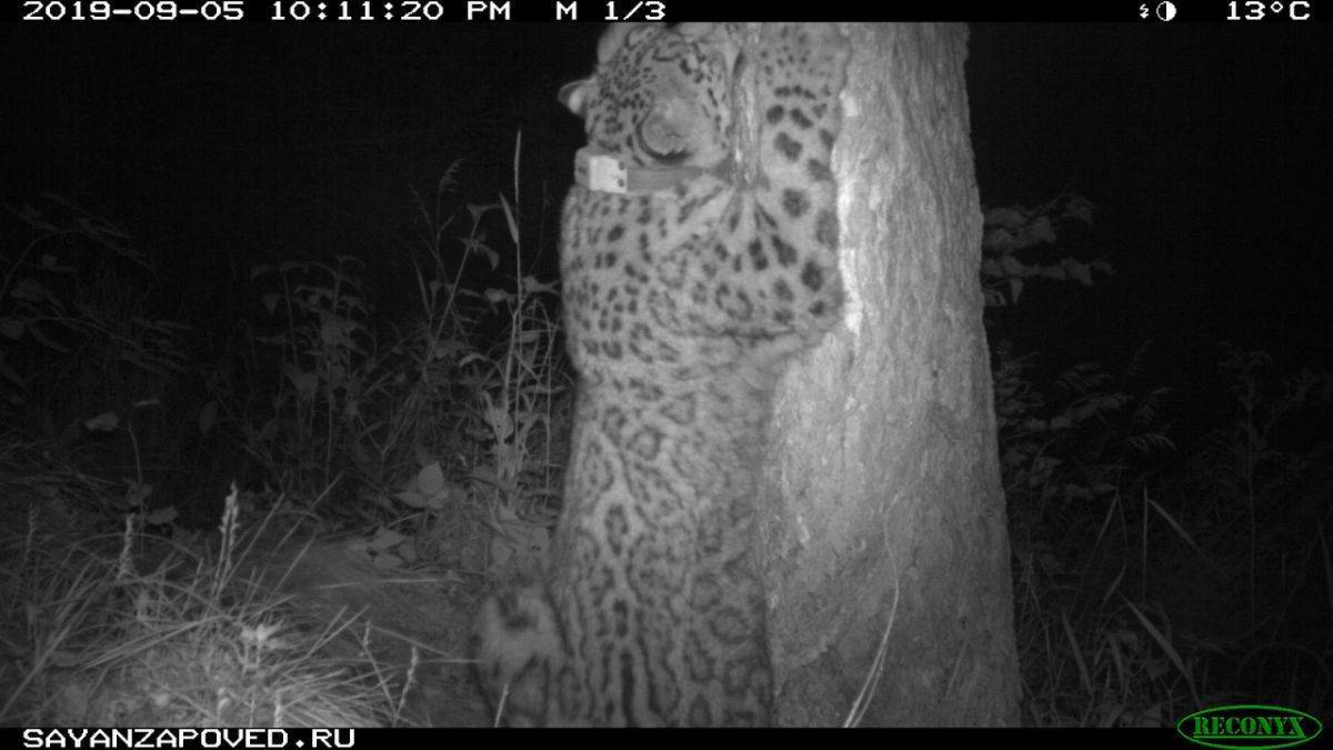 6STs51sI1pA.jpg 6STs51sI1pA.jpg