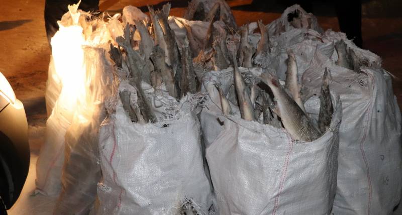 изъяли рыбу 2.jpg изъяли рыбу 2.jpg