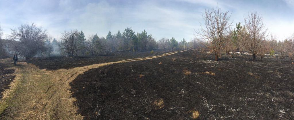 18076491_783043118512741_1549964062357343384_o.jpg 18076491_783043118512741_1549964062357343384_o.jpg