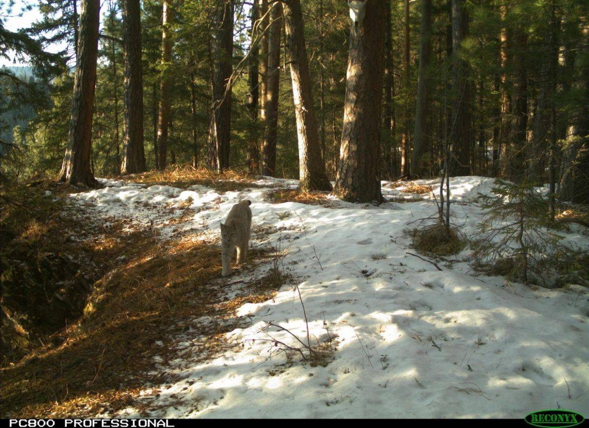 NRGfJLVvA40.jpg NRGfJLVvA40.jpg