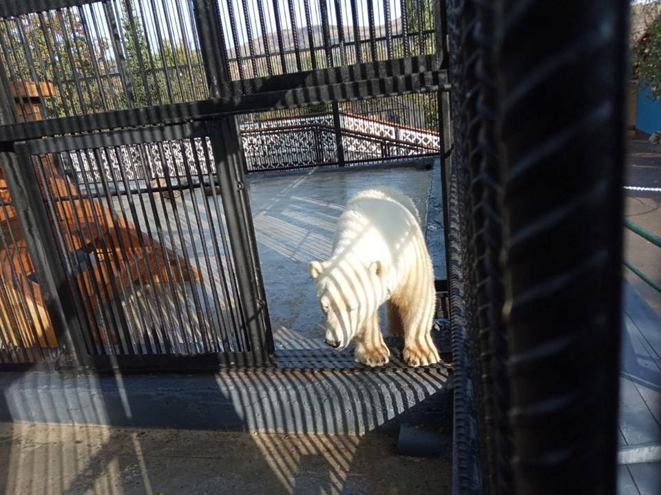 71915499_3045174848886669_3724145728382042112_n.jpg 71915499_3045174848886669_3724145728382042112_n.jpg