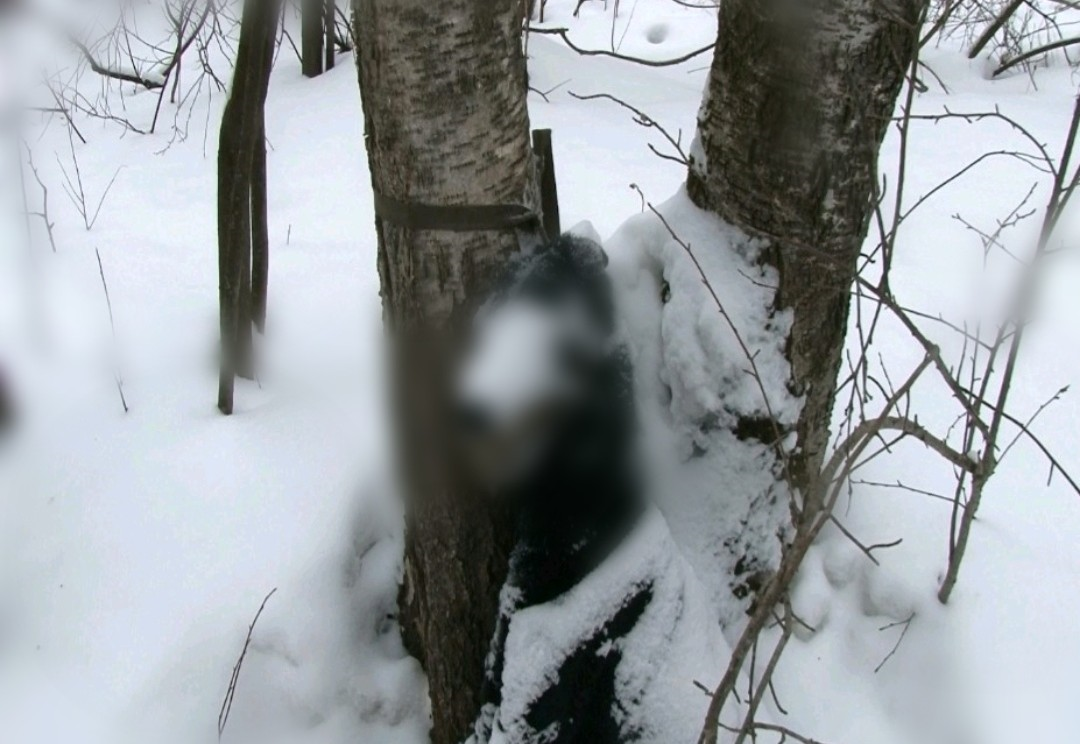 8EF0BBA0-2460-4369-8270-884B810907BE.png 8EF0BBA0-2460-4369-8270-884B810907BE.png