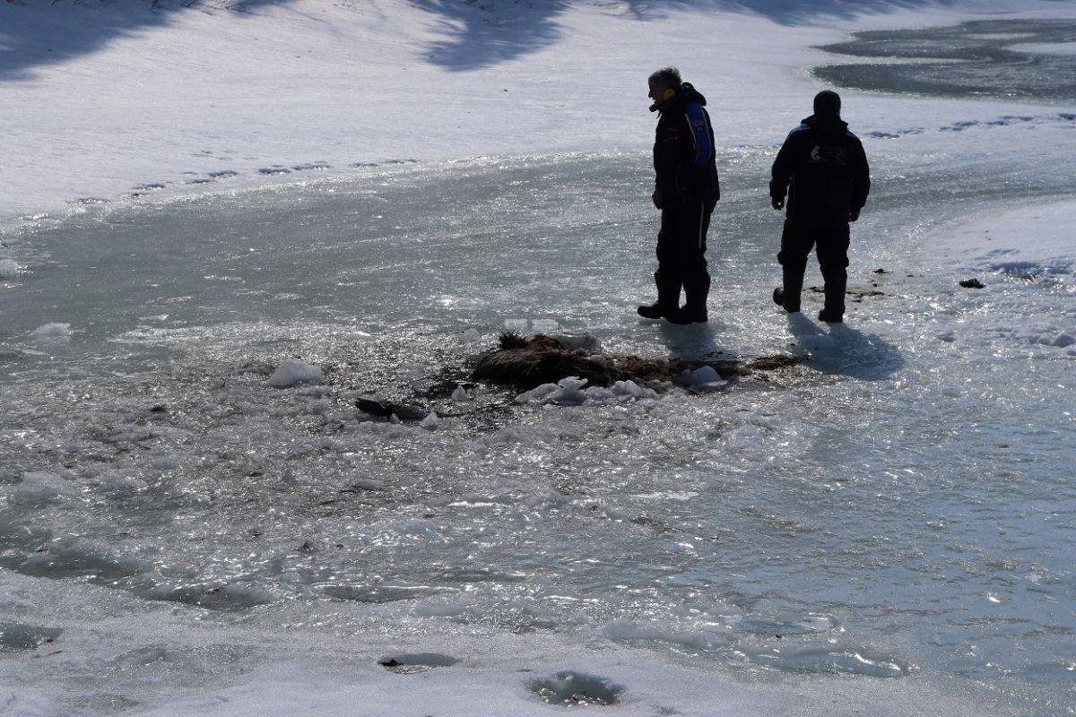 IlPZ0TUSsYw.jpg IlPZ0TUSsYw.jpg