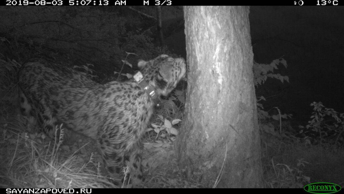 9tmnR7I9rKg.jpg 9tmnR7I9rKg.jpg