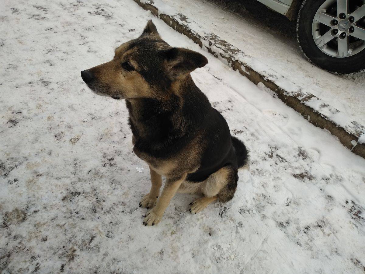 IMG_20191231_142938.jpg IMG_20191231_142938.jpg