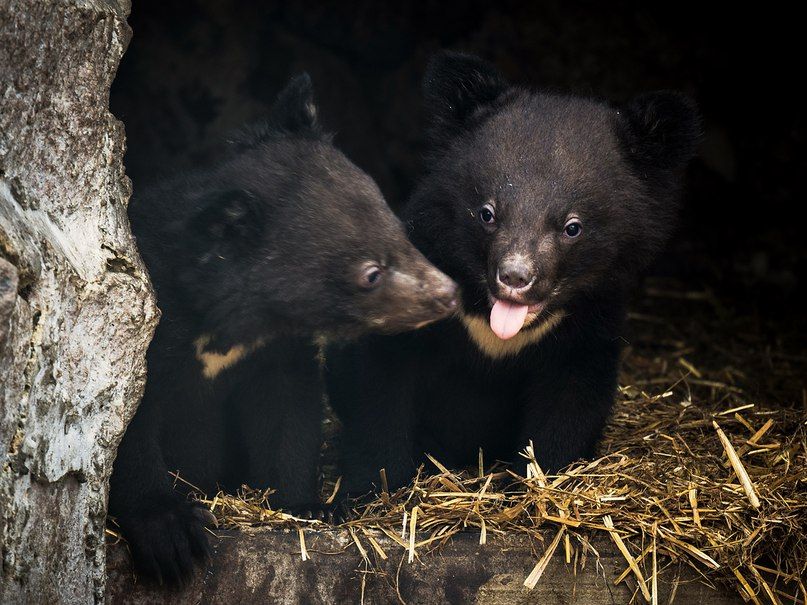 hxgX7_nFRag.jpg hxgX7_nFRag.jpg