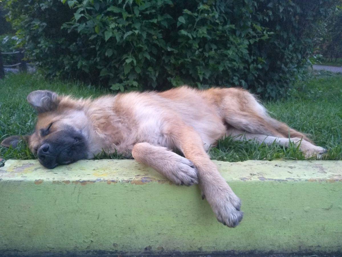 IMG_20190828_195105.jpg IMG_20190828_195105.jpg