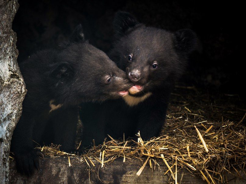 -CWaP-lM0rs.jpg -CWaP-lM0rs.jpg