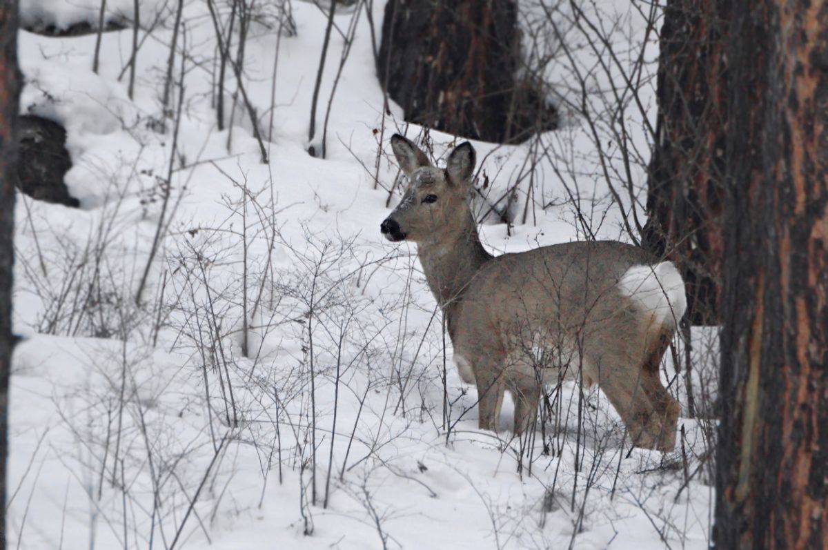 78915378_3871971082829075_2559488423207370752_o.jpg 78915378_3871971082829075_2559488423207370752_o.jpg