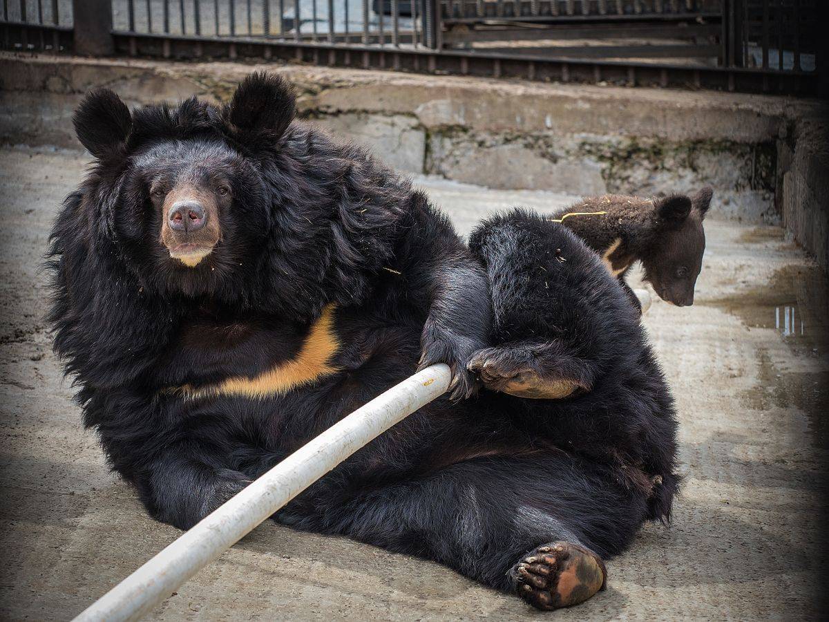 fC6Tc8xnLRQ.jpg fC6Tc8xnLRQ.jpg