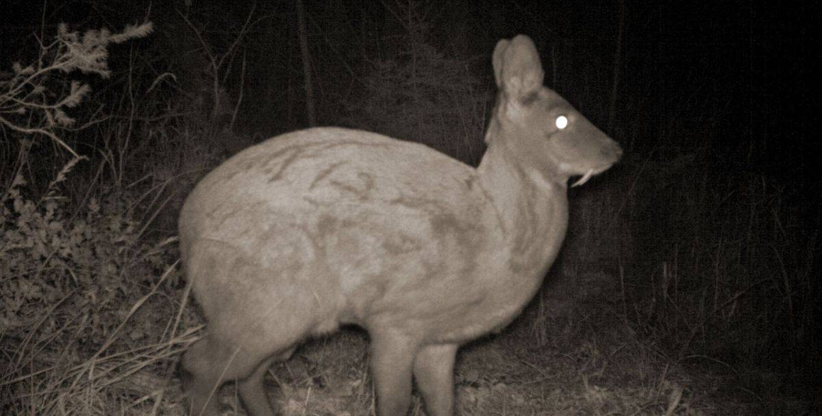 6AFR4x00uAk.jpg 6AFR4x00uAk.jpg