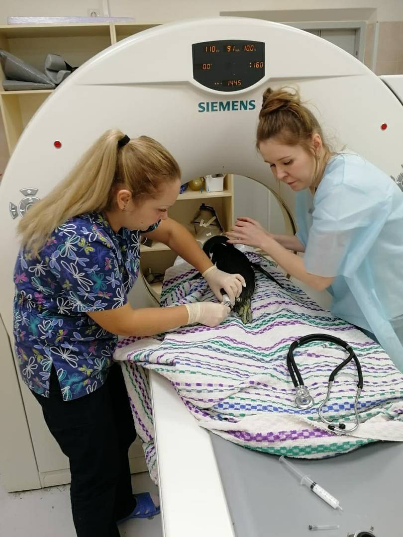 Odg21iLpiWc.jpg Odg21iLpiWc.jpg