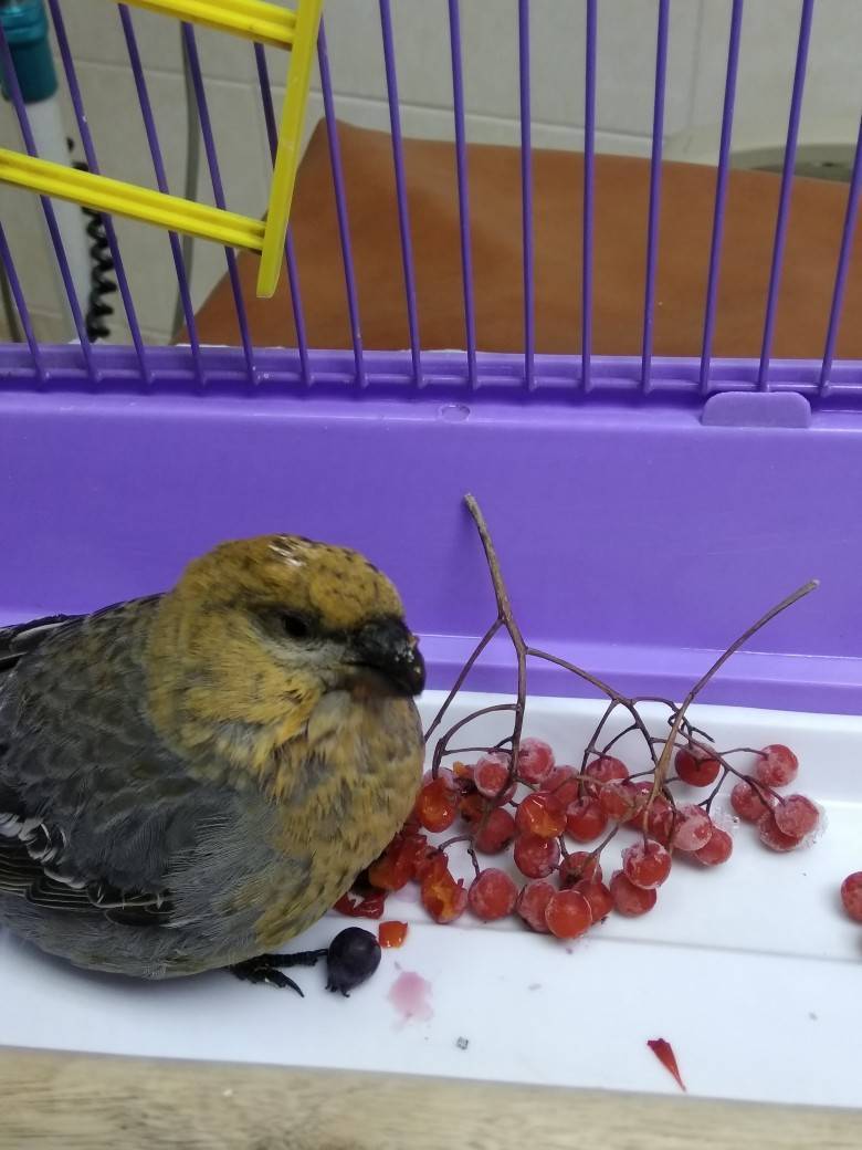 OJN6fqrurZs.jpg OJN6fqrurZs.jpg