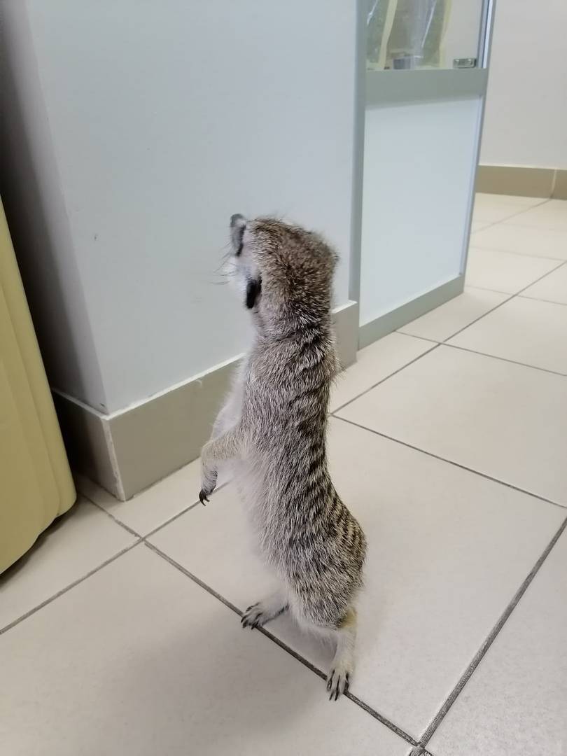 I2CA8sf6br8.jpg I2CA8sf6br8.jpg