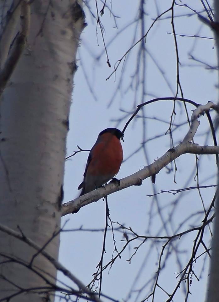 73081538_776288922795235_2237618024947384320_n.jpg 73081538_776288922795235_2237618024947384320_n.jpg