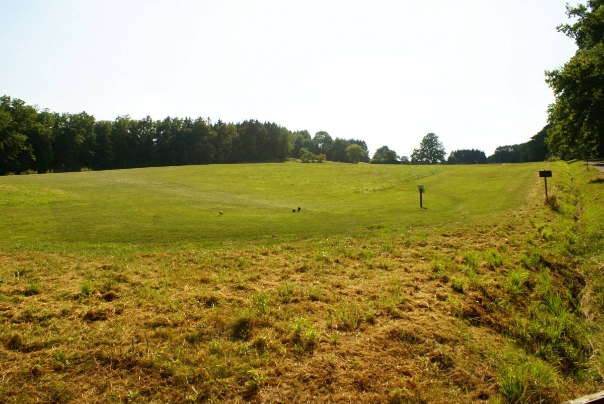 b6cc111f5399b5fe2d41039913f2-1591713.jpg b6cc111f5399b5fe2d41039913f2-1591713.jpg