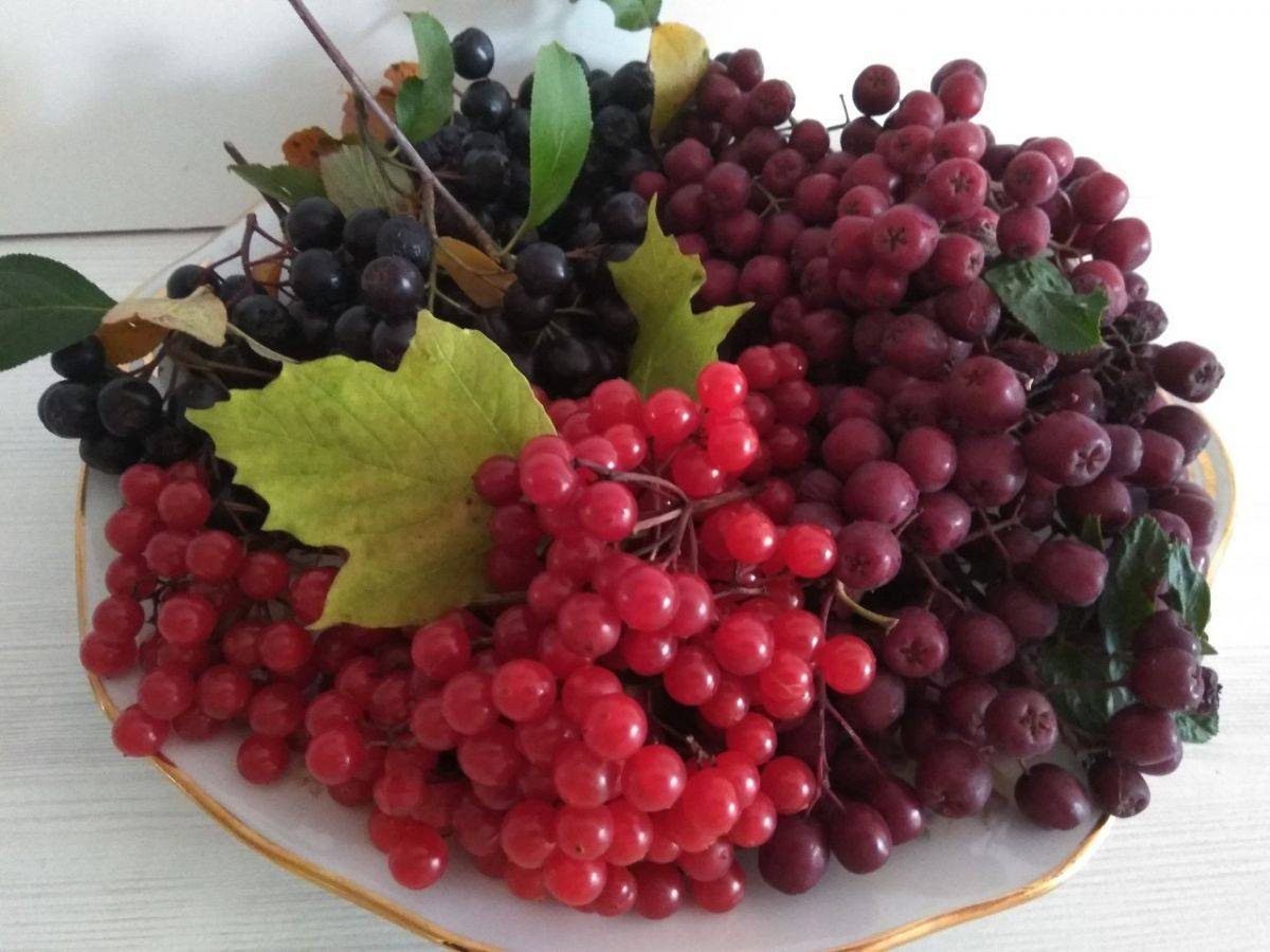 fOcbhZXY4kk.jpg fOcbhZXY4kk.jpg