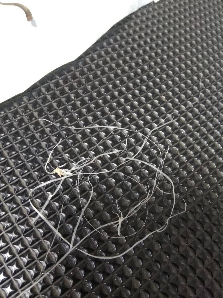 dj81zgYVHVw.jpg dj81zgYVHVw.jpg